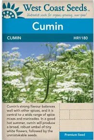 Cumin