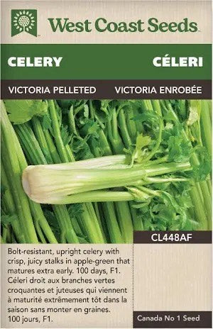 Celery Victoria F1 (Pelleted)