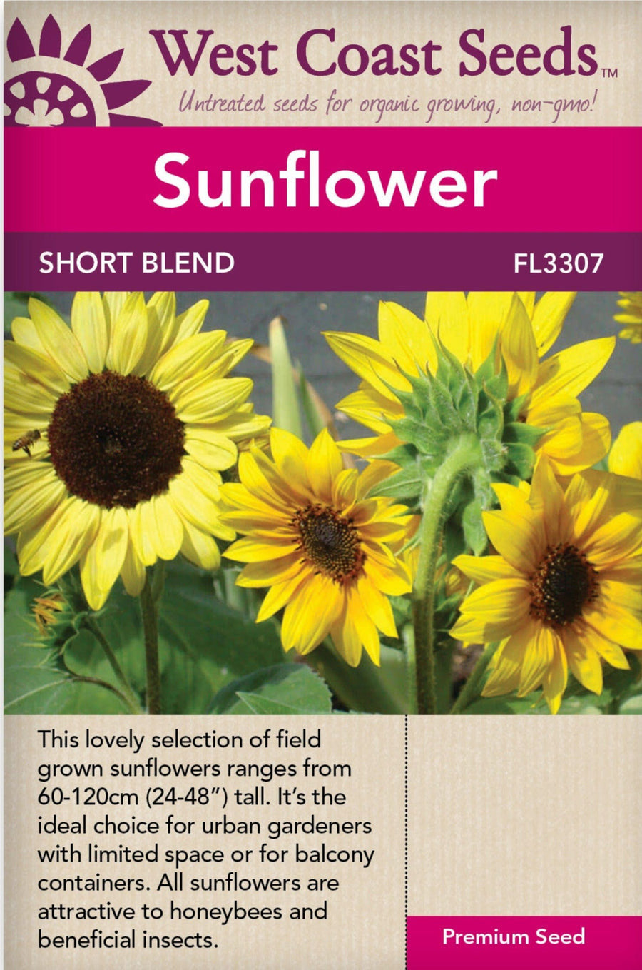 Sunflowers - Short Blend