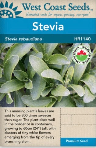 Stevia Sugar Plant Certified Organic