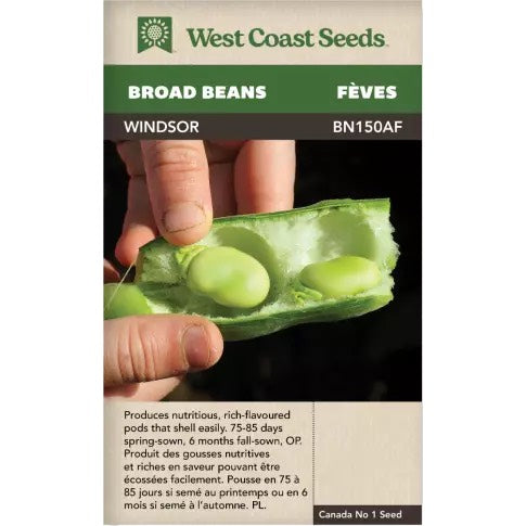 Beans Windsor