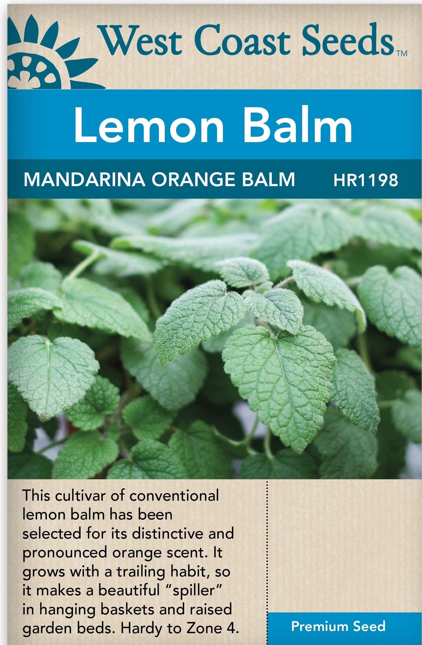 Lemon Balm - Mandarina Orange Balm