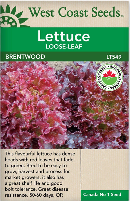 Lettuce Brentwood Eazy Leaf Certified Organic