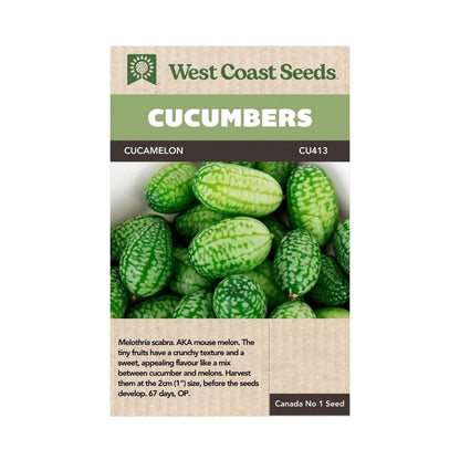 Cucumbers Cucamelon