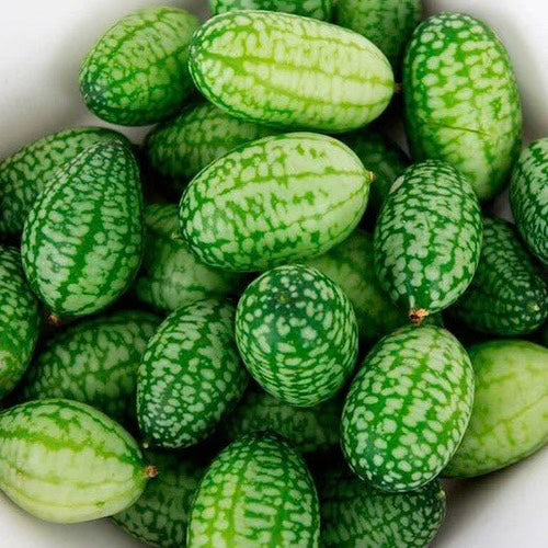 Cucumbers Cucamelon