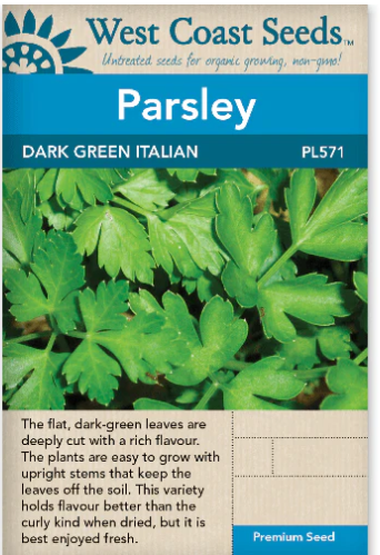 Parsley Dark Green Italian Plain