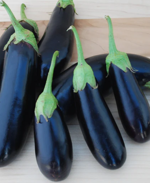 Eggplants- Diamond certified organic