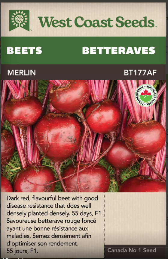 Beets- Merlin F1 Certified Organic