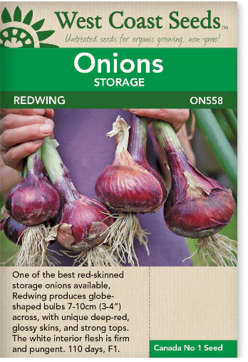 Onions Redwing F1 (Coated)