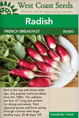 Radishes - French Breakfast