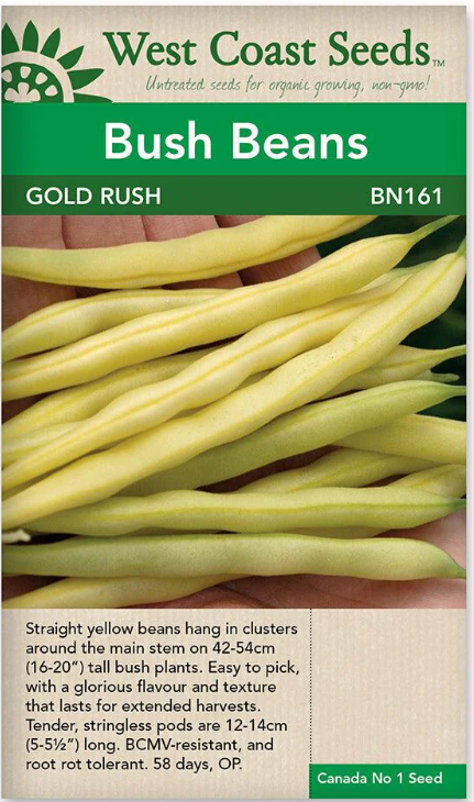 Beans Gold Rush Yellow Wax