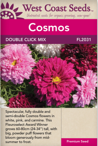 Cosmos Double click assorted