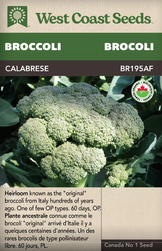 Broccoli Calabrese Certified Organic