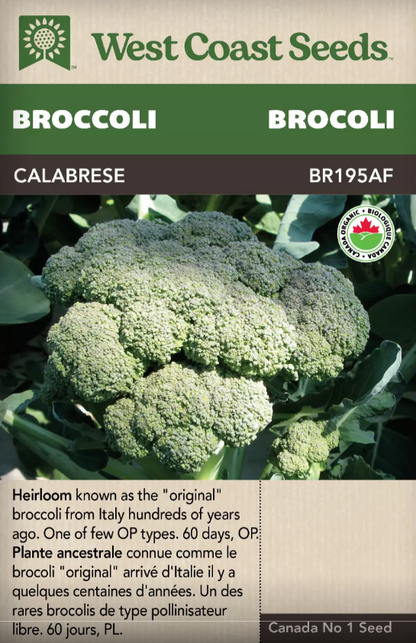 Broccoli Calabrese Certified Organic