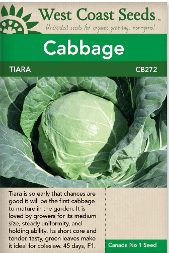 Cabbage Tiara F1 (Coated)