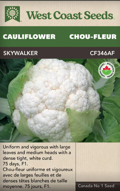 Cauliflower Skywalker F1 Certified Organic