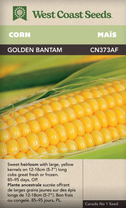 Corn Golden Bantam