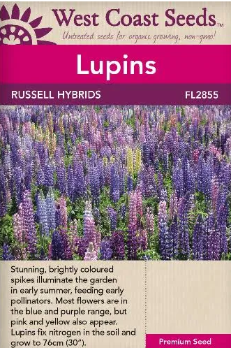 Lupins Russell Hybrids