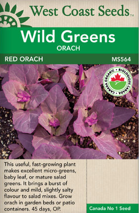 Wild Greens - Red Orache Certified Organic