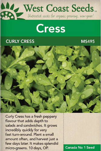 Cress Curly Cress Peppergras