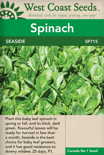 Spinach -Seaside