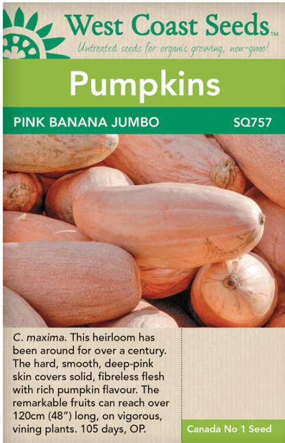Pumpkins Banana Pink Jambo