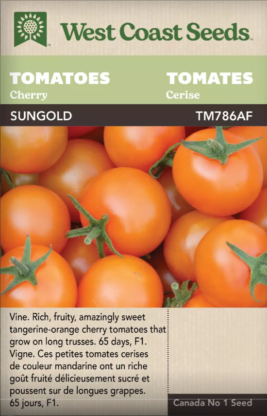 Tomatoes Sungold Cherry F1