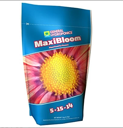 GH MaxiBloom 2.2 LB