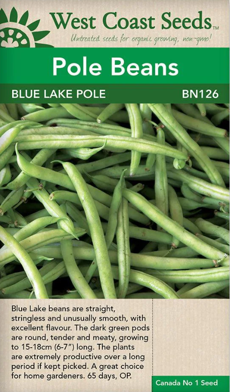Blue Lake Beans