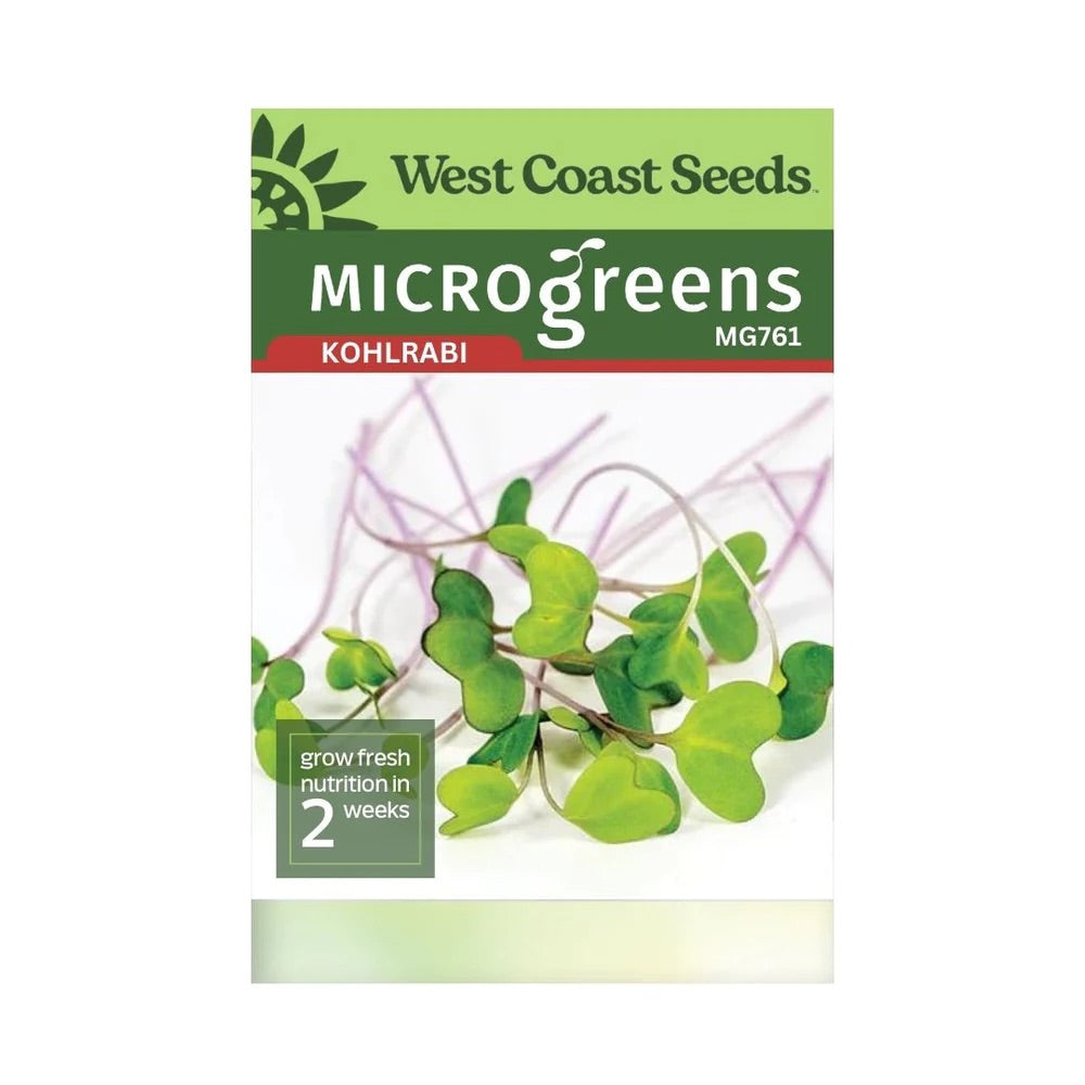 Microgreen Kohlrabi Seed