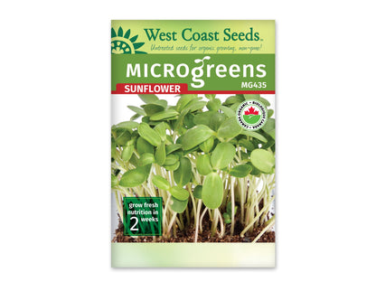 Microgreen Sunflower Seed