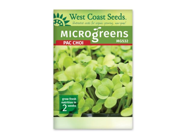 Microgreen Pac Choi