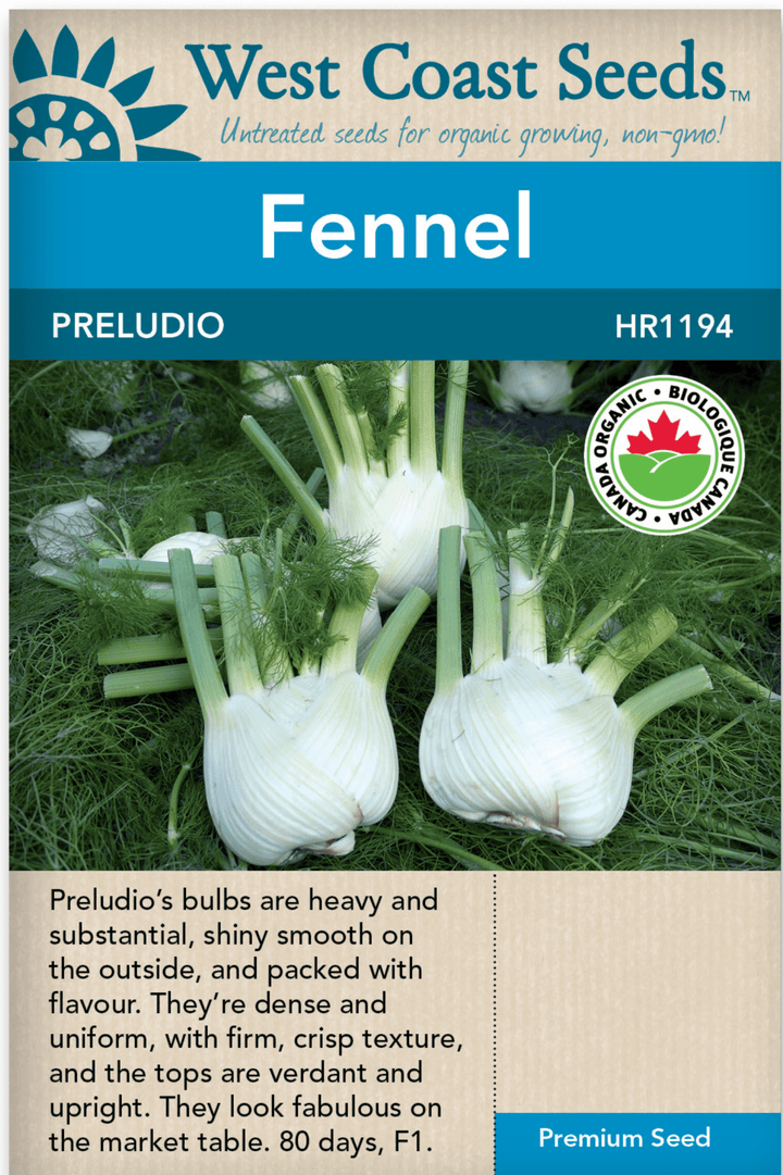 Fennel- Preludio F1 Certified Organic