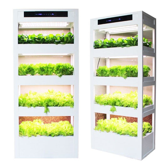 Indoor Hydroponic Cabinet : YEAR ROUND PLANT GROWING